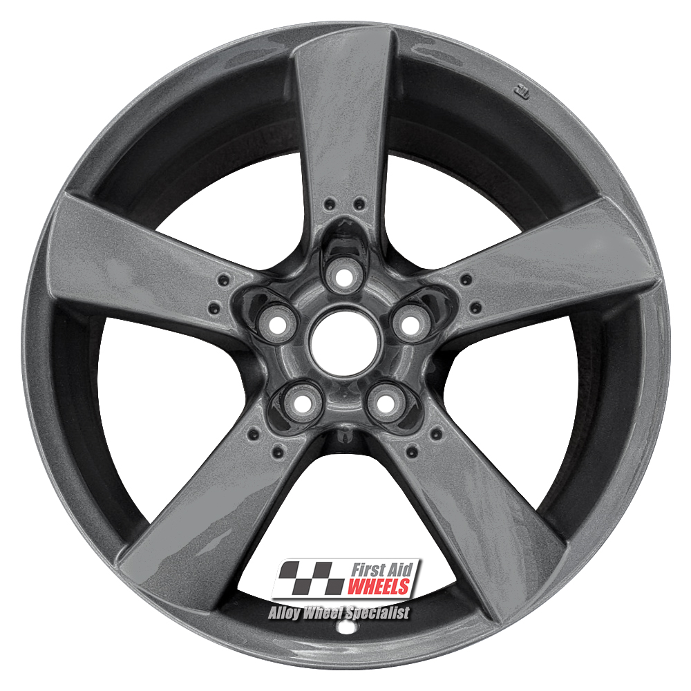 標本 RSA Atrichiana placida 18mm R142A EXCHANGE SERVICE - MAZDA RX8 4x18